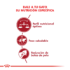 Nutricion Royal Canin Gato FIT