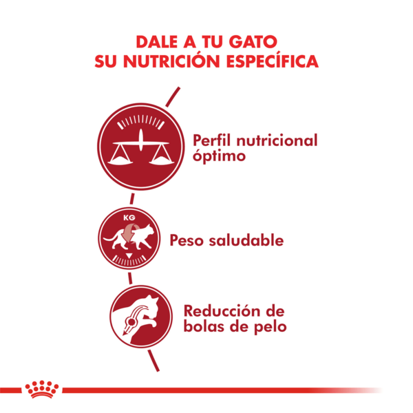 Nutricion Royal Canin Gato FIT