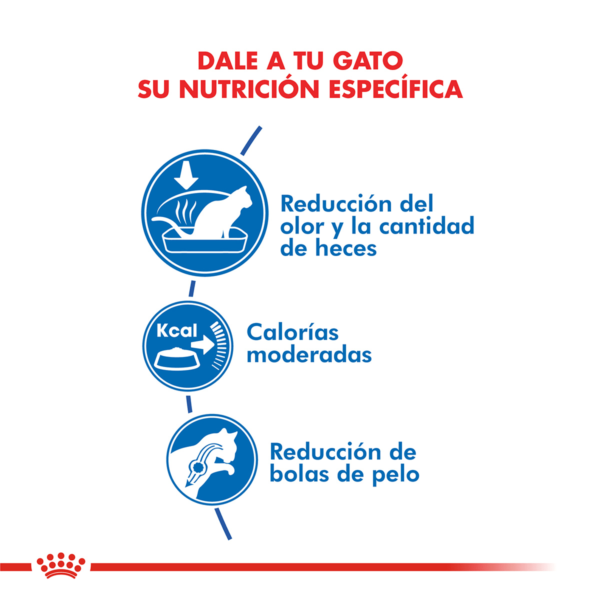 Nutricion Royal Canin Gatos Indoor