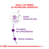 Nutricion Royal Canin Giant Adult