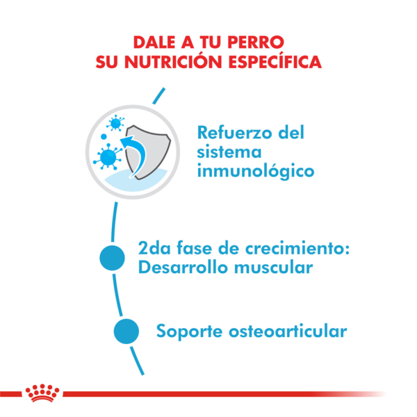 Nutricion Royal Canin Giant Puppy