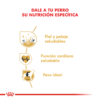 Nutricion Royal Canin Golden Retriever Adulto
