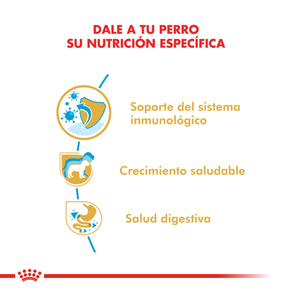 Nutricion Royal Canin Jack Russell Puppy