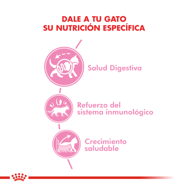 Nutricion Royal Canin Kitten