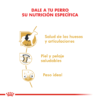 Nutricion Royal Canin Labrador Retriever Adulto