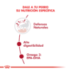 Nutricion Royal Canin Medium Adult