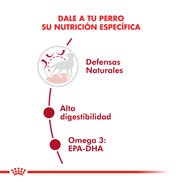 Nutricion Royal Canin Medium Adult
