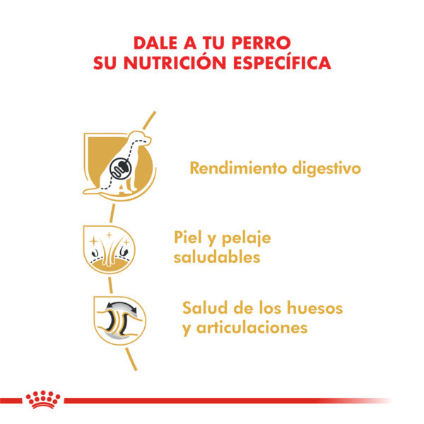 Nutricion Royal Canin Ovejero Aleman Adulto