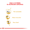 Nutricion Royal Canin Pug Adulto