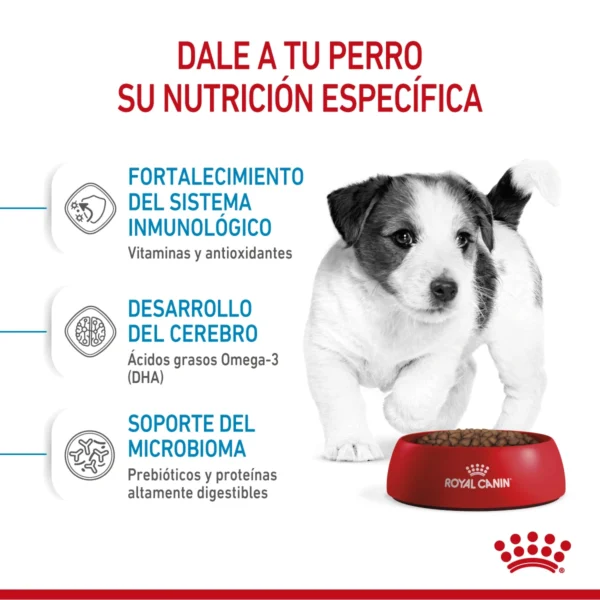 nutrición Royal Canin Puppy Mini