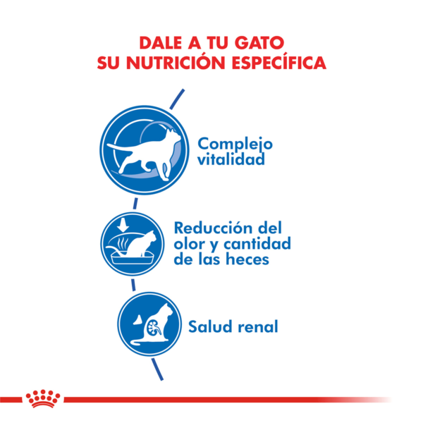 Nutricion Royan Canin Gatos Indoor 7+