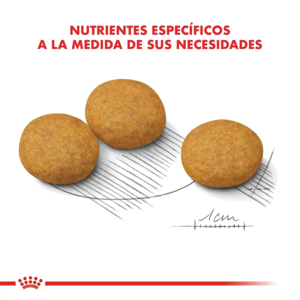 Nutrientes Royal Canin Maxi Dermacomfort