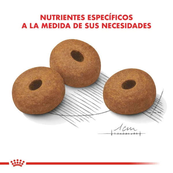 Nutrientes Royal Canin Maxi Weight Care