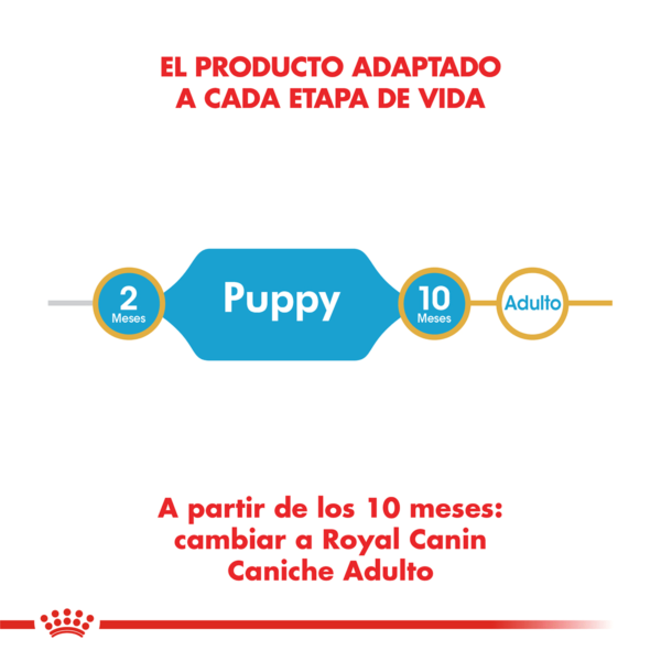 Producto Adaptado