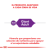Producto Adaptado Royal Canin Giant Adult