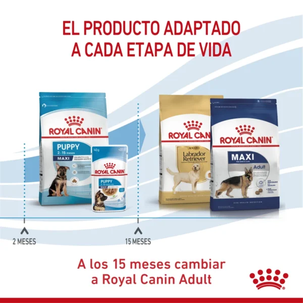 Producto Adaptado Royal Canin Maxi Puppy
