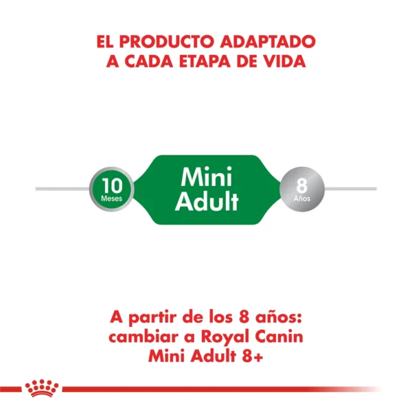 Producto Adaptado Royal Canin Mini Adult