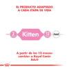 Producto adaptado Royal Canin Kitten
