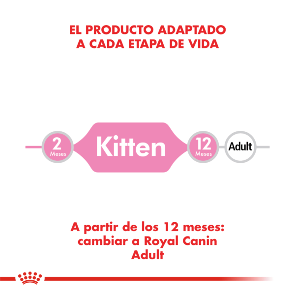 Producto adaptado Royal Canin Kitten