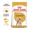 Royal Canin Caniche Adulto