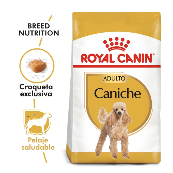 Royal Canin Caniche Adulto