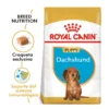 Royal Canin Dachshund (Salchicha)