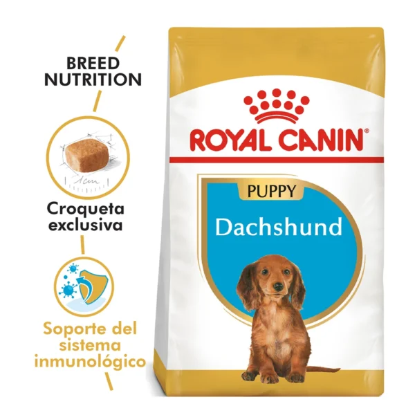 Royal Canin Dachshund (Salchicha)