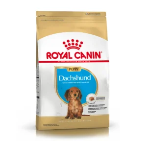 Royal Canin Dachshund (Salchichas)