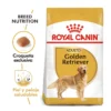 Royal Canin Golden Retriever Adulto
