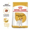 Royal Canin Jack Russell Adulto