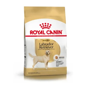 Royal Canin Labrador Retriever Adulto