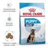oyal Canin Maxi Puppy