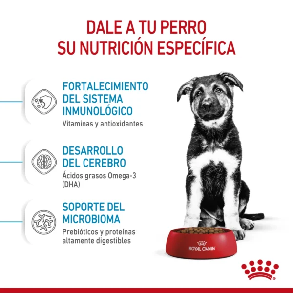 Royal Canin Maxi Puppy Nutricion