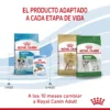 producto adaptado a cada etapa de vida Royal Canin Puppy Mini