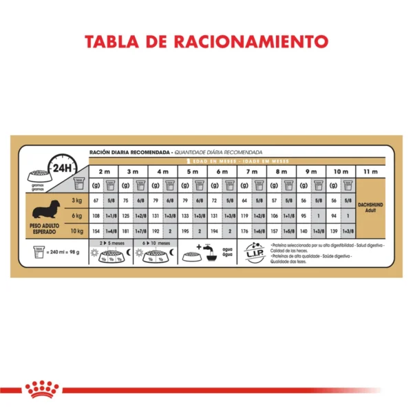 Tabla Racionamiento Royal Canin Dachshund (Salchicha)