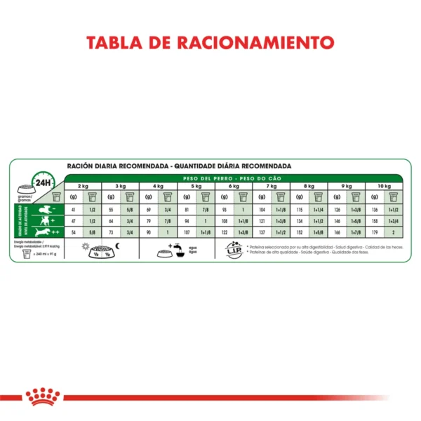 Alimento Royal Canin para Perro Mini Adult 3 Kilos