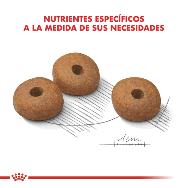 Croqueta Royal Canin Medium Weight Care