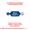 Alimento adaptado Royal Canin Maxi Adult