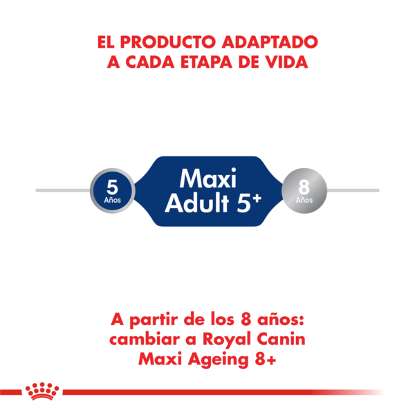 Alimento adaptado Royal Canin Maxi Adult