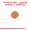 Croqueta Royal Canin Gato Adulto Urinary High Dilution