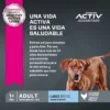 Vida Saludable Eukanuba Adult Large Breed