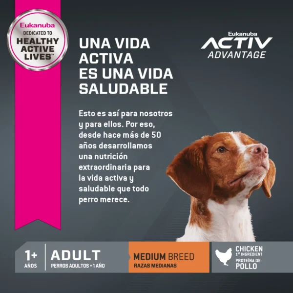 Vida Saludable Eukanuba Adult Medium Breed